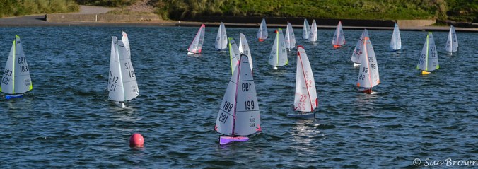 48936471178_a5728c6e38_c (1)